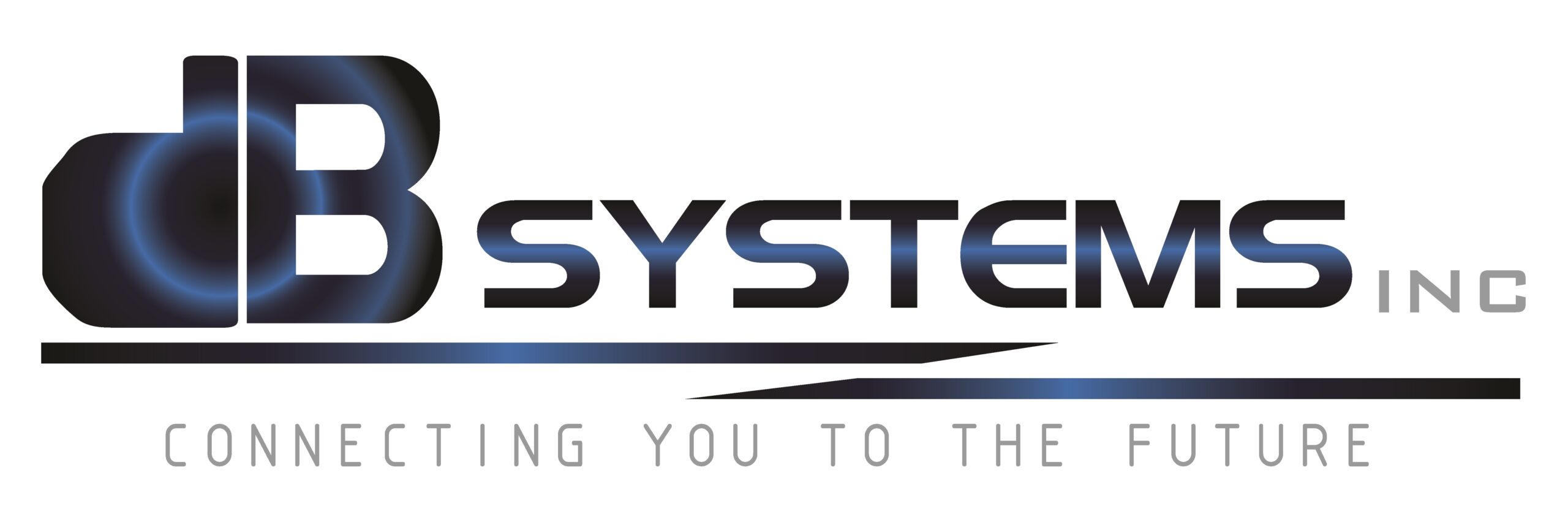 DB SYSTEMS LOGO-02